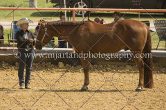 PCSC091617_6592