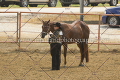 PCSC091617_6607