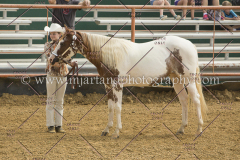 PCSC091617_6615