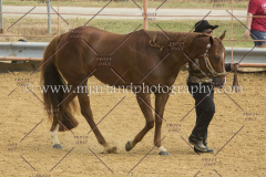PCSC091617_6716