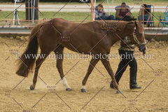 PCSC091617_6718