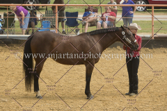 PCSC091617_6745