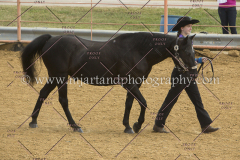 PCSC091617_6811