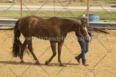 PCSC091617_6842
