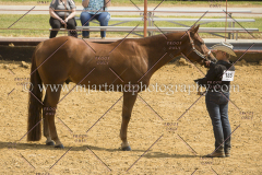PCSC091617_6851
