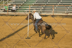 PCSC091617_8817