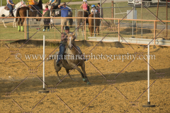PCSC091617_8853