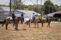 PCSCShow51725_1564