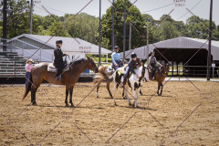 PCSCShow51725_1567