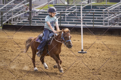 PCSCShow51725_2769