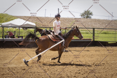 PCSCShow51725_3073