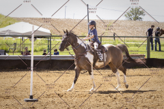 PCSCShow51725_3135