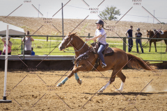 PCSCShow51725_3159