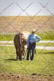 PCSCShow51725_1101