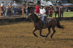 PCSC81713_1515