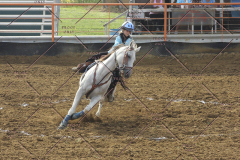 PCSC81713_1530