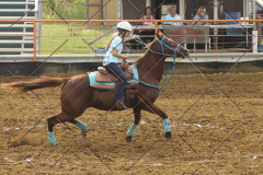 PCSC81713_1599