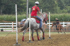 PCSC81713_1850