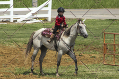 PCSC81713_1303
