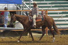 PCSC81713_1333