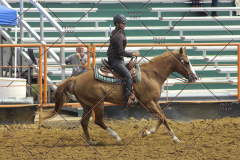 PCSC81713_1373