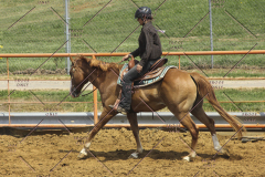 PCSC81713_1402