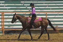 PCSC81713_1406