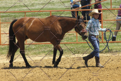 PCSC61513_1546