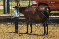 PCSC61513_1547