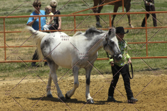 PCSC61513_1548
