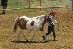 PCSC61513_1550