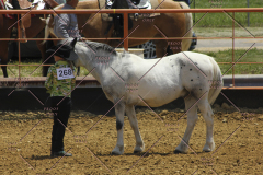 PCSC61513_1551