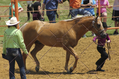 PCSC61513_1552
