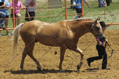 PCSC61513_1553