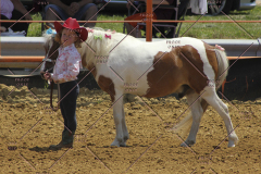 PCSC61513_1554