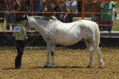 PCSC61513_1559