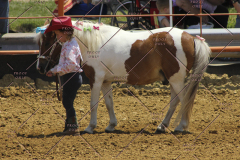PCSC61513_1560