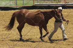 PCSC61513_1567