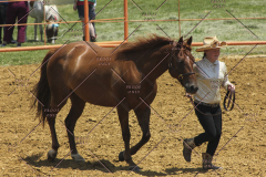 PCSC61513_1571