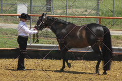 PCSC61513_1578