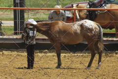PCSC61513_1579