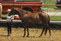 PCSC61513_1580