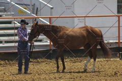 PCSC61513_1586