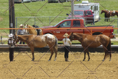 PCSC61513_1592