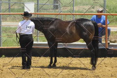 PCSC61513_1594