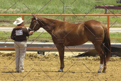 PCSC61513_1595