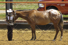PCSC61513_1596
