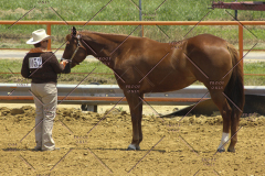 PCSC61513_1597
