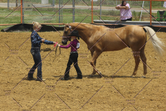 PCSC61513_1619