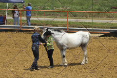 PCSC61513_1621